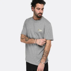 Golden Goose Tee-shirt Big Star Homme Coton Gris Doré guranteed de qualité 11