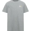 Golden Goose Tee-shirt Big Star Homme Coton Gris Doré guranteed de qualité 17