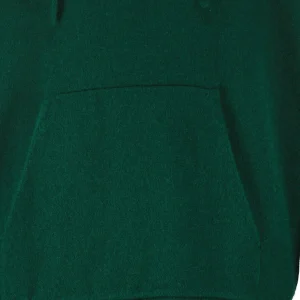 Meilleur Service IDA DEGLIAME Pull Mon Hoodie Chérie Cachemire Vert Chrome 9