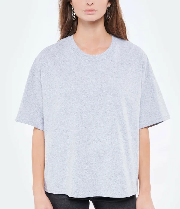 Paris Modetrotter Tee-shirt Chris Coton Gris 4